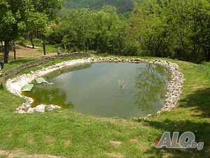 image_30
