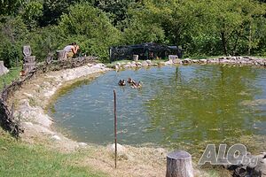 image_33