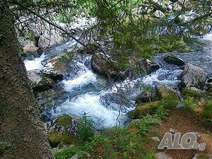 image_14