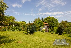 image_9