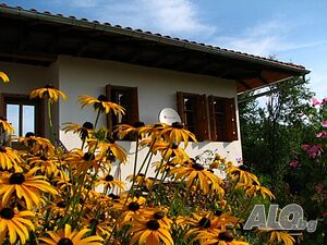 image_12