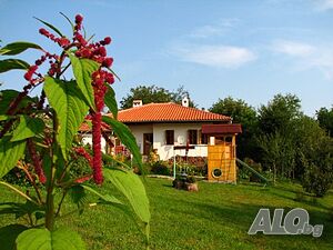 image_16
