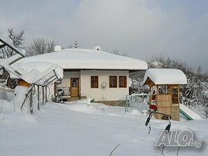 image_19