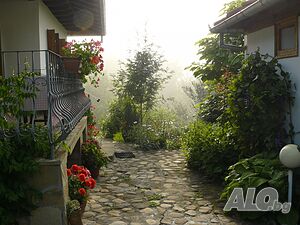 image_23