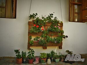 image_27