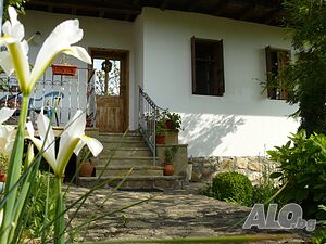 image_3