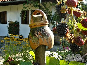 image_31