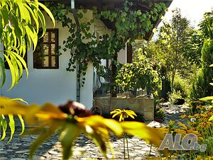 image_33