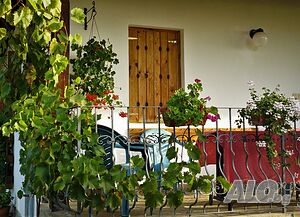 image_36