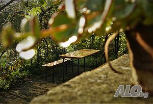 image_37