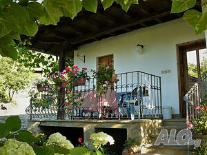 image_40