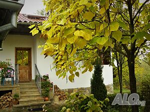 image_42