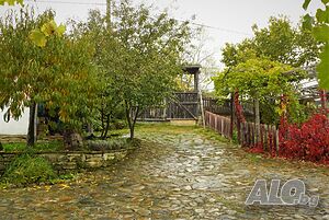 image_43