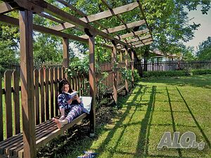 image_11