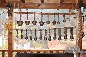 image_22