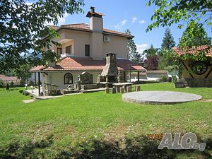 image_7