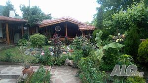 image_13
