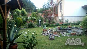 image_14