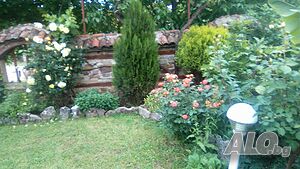 image_17