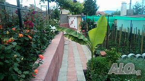 image_19
