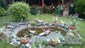 image_23