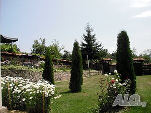 image_8
