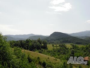 image_10