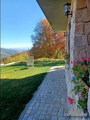 image_8