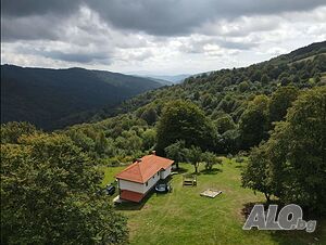 image_23