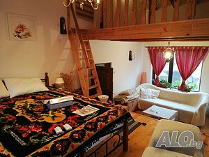 image_19