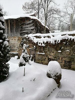 image_24