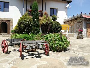 image_37