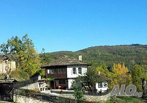 image_10