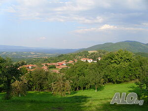 image_16