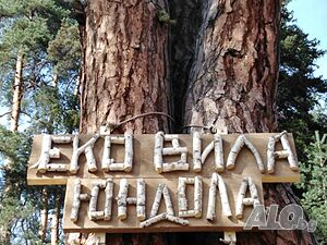 Къща за гости Еко Вила Юндола в Юндола