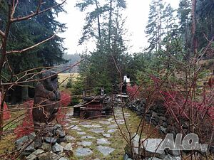 image_8