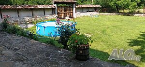 image_9