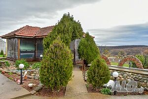 image_6
