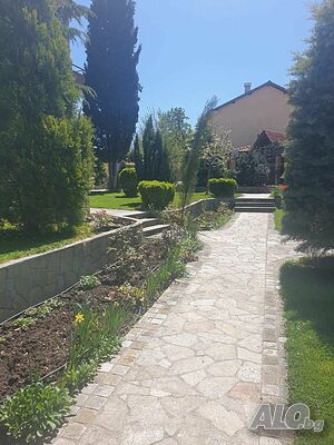 image_35