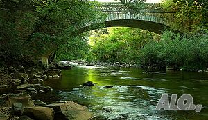 image_19