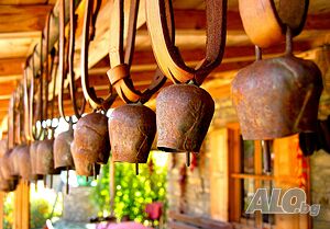 image_21