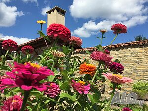 image_34