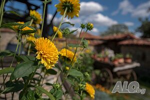 image_35