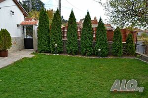image_21