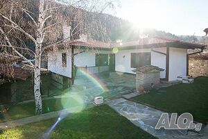 image_29