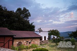 image_42