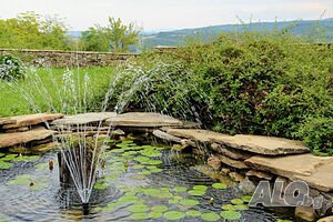 image_53
