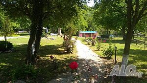 image_12