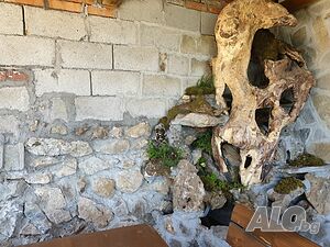 image_38