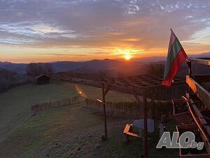 image_44